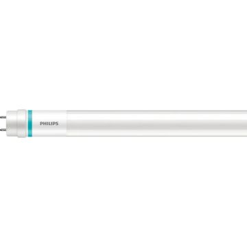 Philips G13 T8 LED Buis | 20.5W 6500K 220V/240V 865 | 3100lm 190° 1500mm