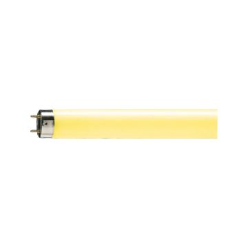 25x Philips G13 T8 TL-buis | 58W 2250lm  | 1510mm Geel
