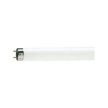 10x Philips G13 T8 TL-buis | 36W 6500K 2100lm 965 | 1210mm
