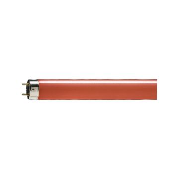 25x Philips G13 T8 TL-buis | 18W 25lm  | 600mm Rood
