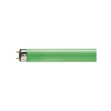 25x Philips G13 T8 TL-buis | 58W 6750lm  | 1510mm Groen