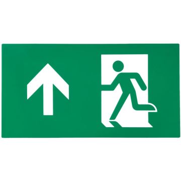 Megaman Noodverlichting Pictogram | TEMPUS PICT.BOV 10487/88 | MM10492