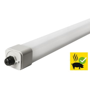 Megaman LED Montagebalk| 53W 4000K 6500Lm | 840 IP66 | DINO Waterdicht