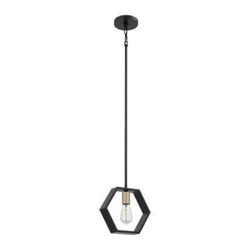 Quoizel LED Hanglamp Bismarck | 1X E27 Max 60W | Dimbaar | Earth Black
