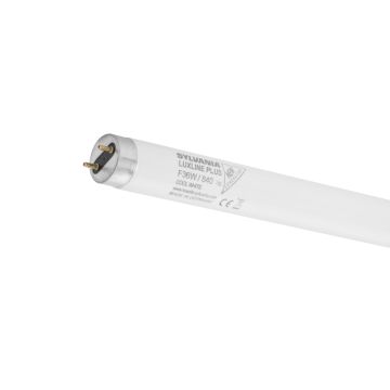 Sylvania F16W/835