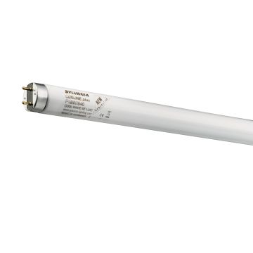 Sylvania LUXLINE PLUS TL T8 70W 840 4000K 1764mm G13