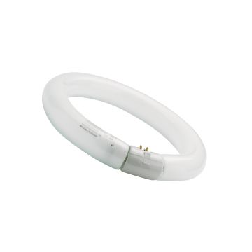 Sylvania 0001968 T9 Circline Plus FC40/865 FC40/865