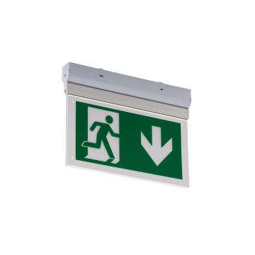 Sylvania 0041747 SylSafe EXIT SYLSAFE EXIT EX C EM3 MT MS SylSafe Exit EX C EM3 MT MS