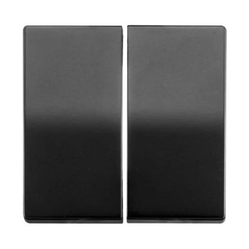Ion Industries Bedieningswip | Serieschakelaar V1/J1 Mat Zwart | IP20