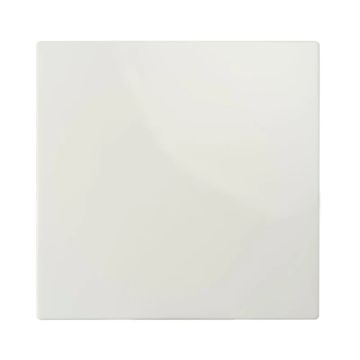 Ion Industries Bedieningswip | Wisselschakelaar E1 Mat Alpin Wit | IP20