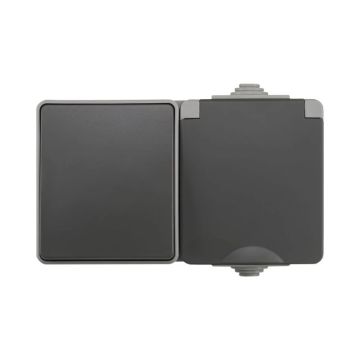Ion Industries Schakelaar/wandcontactdoos | Opbouw Combinatie Wandcontactdoos en Wisselschakelaar IP55 Grijs