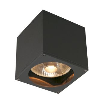 SLV LED Wandlamp | 1X GU10 Max 75W  | IP44 Dimbaar | BIG THEO