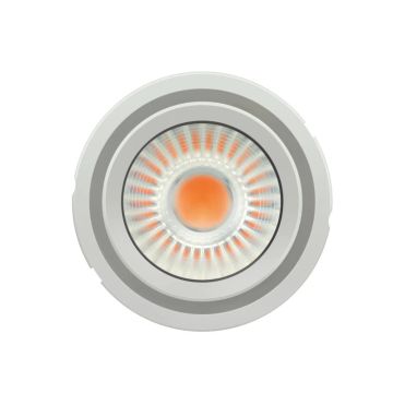 10x Osram Prevaled LED Module | 36.7W 3900K 4350lm IP20