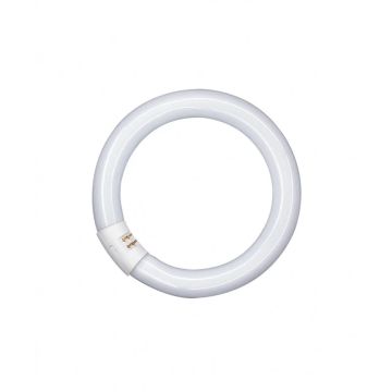 12x Osram G10q Ronde TL-buis | 32W 4000K 2100lm 840