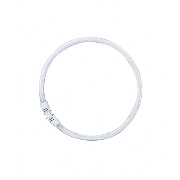 12x Osram 2GX13 Ronde TL-buis | 40W 3000K 3300lm 830