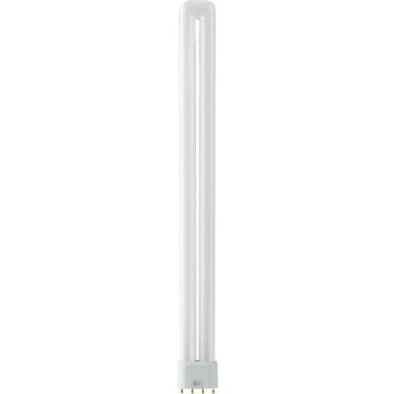 SPL 2G11 PL-L 4P Spaarlamp | 36W 830 3000K | 4-Pins
