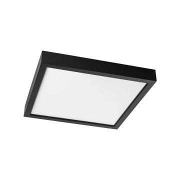 Prolumia Pro-Ceiling | 40W 2700K/4000K 2650Lm/3950lm | 827/840  Dimbaar | 40001845