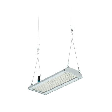 Philips High-bay | 98W 4000K 17000Lm 840 | IP65 DALI Dimbaar | GentleSpace Gen4