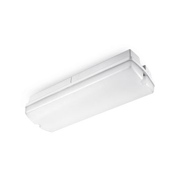 ELP LED Portiekverlichting | 6W 3000K | 830 IP65