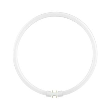 Schiefer 2GX13 T5 TL-Buis | 55W 4000K 2900lm 840 | 305mm