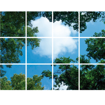 VNL Fotoprint Afbeelding Wolk-Bos Verdeeld Over 12 Panelen 595 X 595 mm 