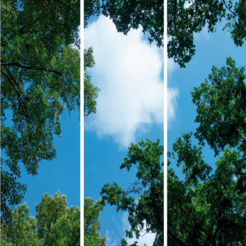 VNL Fotoprint Afbeelding Wolk-Bos Verdeeld Over 3 Panelen 1195 X 595 mm 