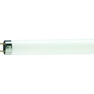 Philips Master Actinic | BL TL-D 18W | 59cm Insectenlamp