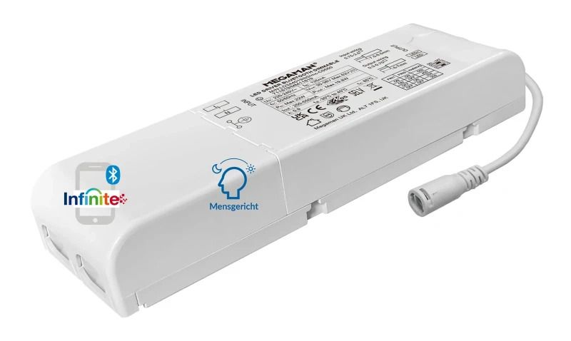 Megaman LED Driver | 250mA/550mA 19W 30V/36V | IP20 | MM11819