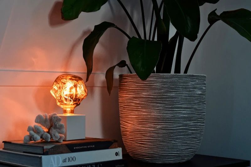 Calex E27 LED Globelamp Organic Neo Rose | 4W 70Lm 1800K | 220-240V 918 G120 | Dimbaar