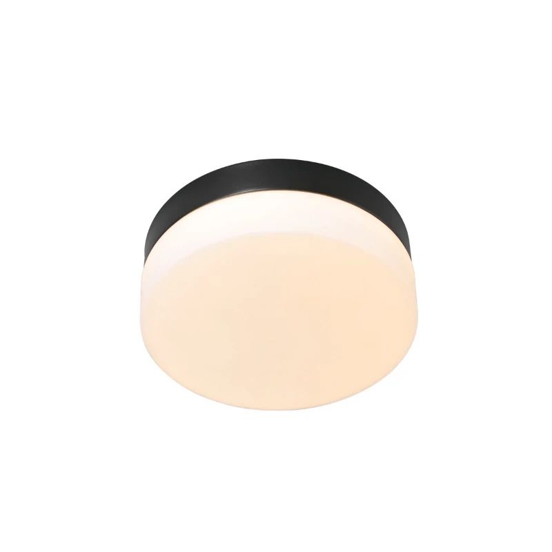 Steinhauer Ikaro LED Plafondlamp | 12W 2700K 960lm 927 | IP44 | Dimbaar
