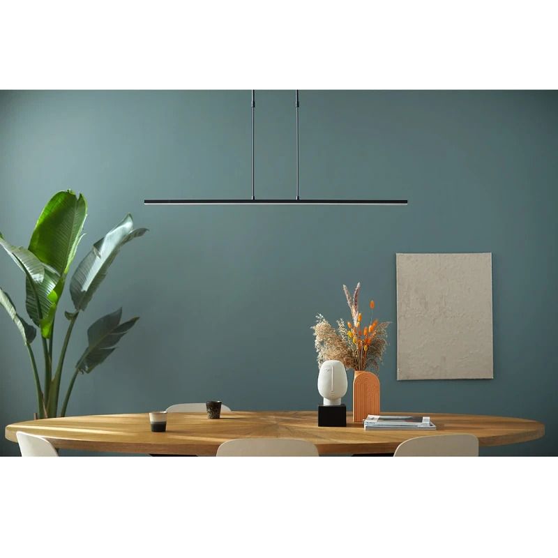 Steinhauer Zelena LED Hanglamp | 25W 2200K/4000K 2500lm 922/940 | Dimbaar