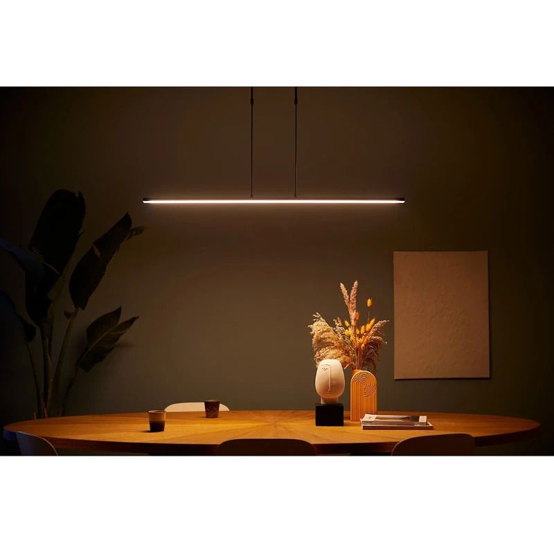 Steinhauer Zelena LED Hanglamp | 25W 2200K/4000K 2500lm 922/940 | Dimbaar