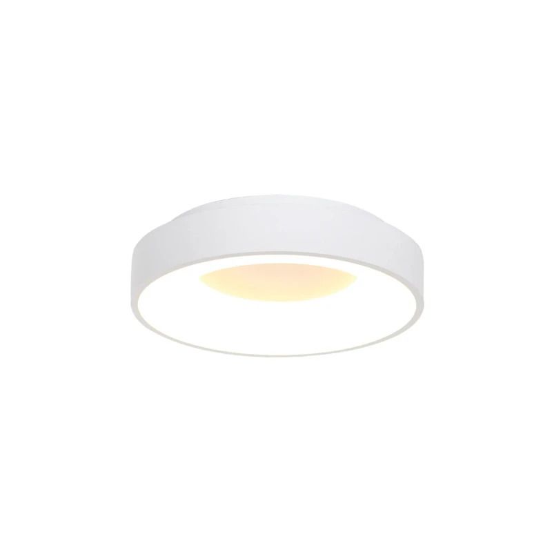 Steinhauer Ringlede LED Plafondlamp | 30W 2700K 2800lm 827 | Dimbaar | Wit