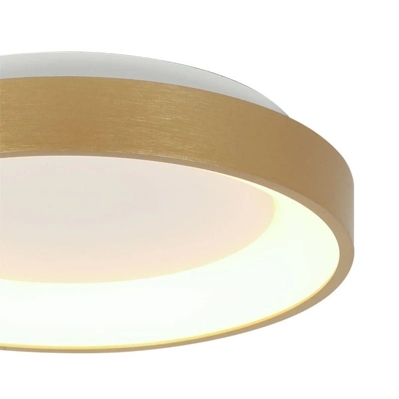 Steinhauer Ringlede LED Plafondlamp | 20W 2700K 1600lm 927 | Dimbaar | Goud/Wit
