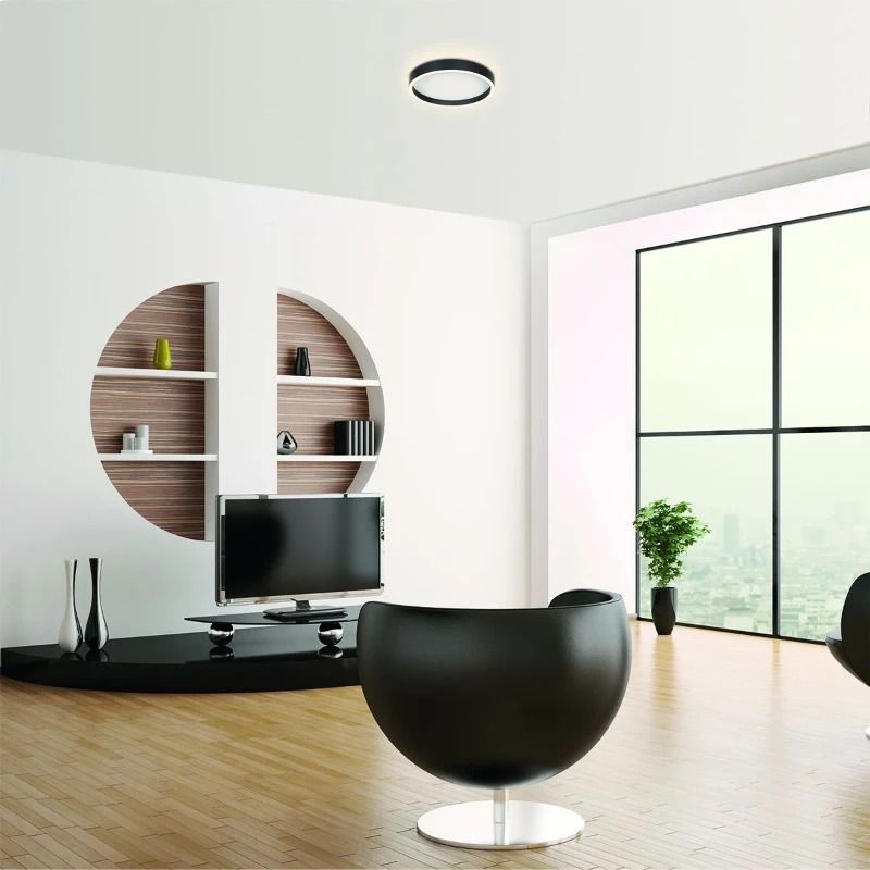 Steinhauer Ringlux LED Plafondlamp | 20W 2700K 2500lm 927 | Dimbaar | Zwart