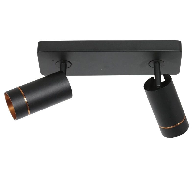 Steinhauer DownLume LED Downlighter | 2x GU10 10W | Dimbaar | Goud/Zwart