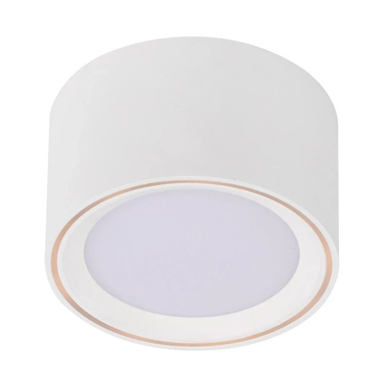 Nordlux Fallon LED Opbouwspot | 5.5W 2700K 500lm 827 | Dimbaar | Wit