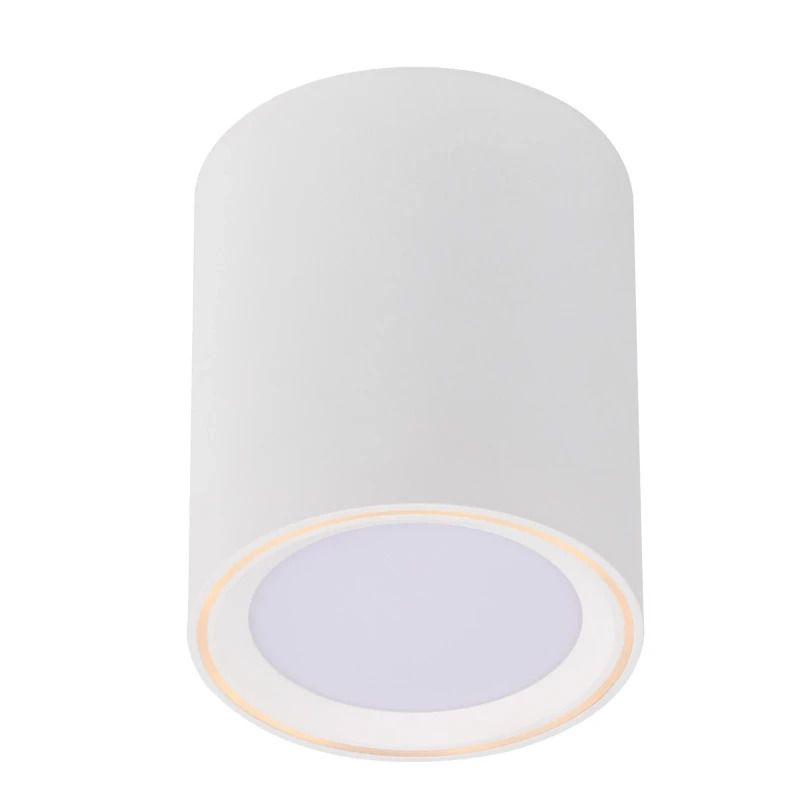 Nordlux Fallon LED Opbouwspot | 5.5W 2700K 500lm 827 | Dimbaar | Wit