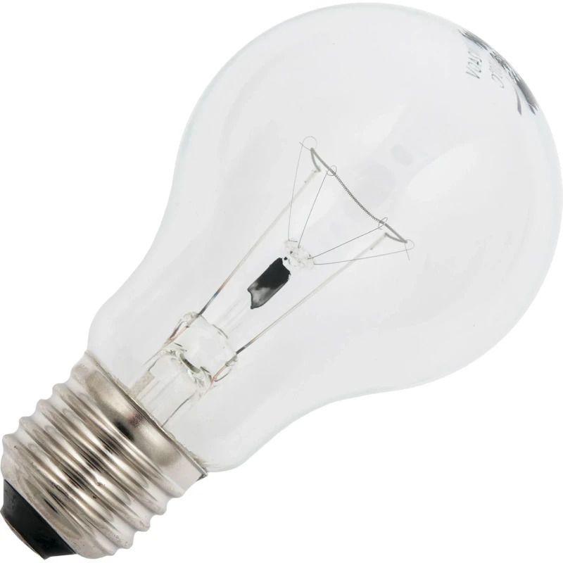 Schiefer E27 Gloeilamp | 60W 2700K 500lm 260V | Dimbaar