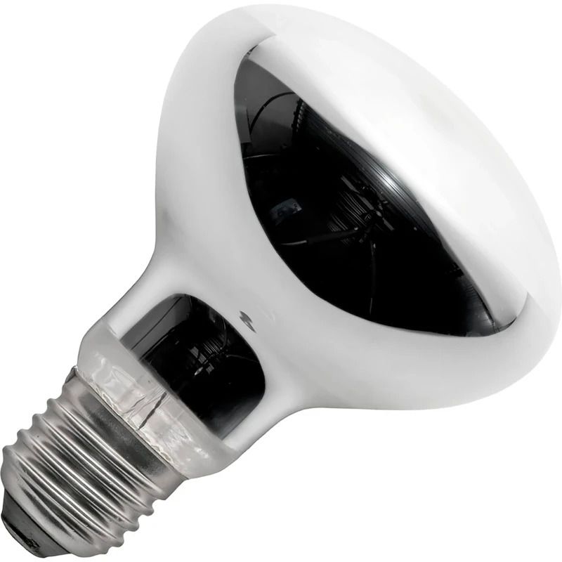 Schiefer E27 R80 Halogeenlamp | 53W 2800K 220V/240V 30° | Dimbaar