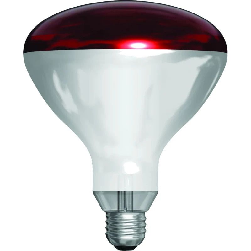 Schiefer E27 Infrarood Lamp | 250W 220V/240V R125