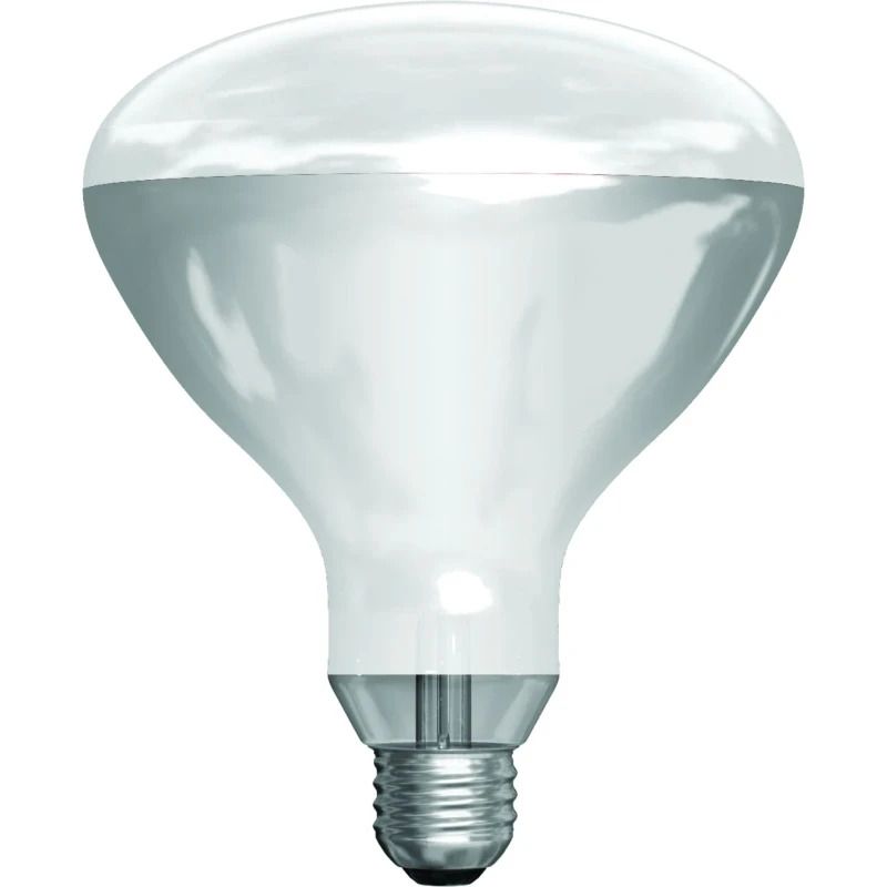 Schiefer E27 Infrarood Lamp | 300W 220V/240V R125