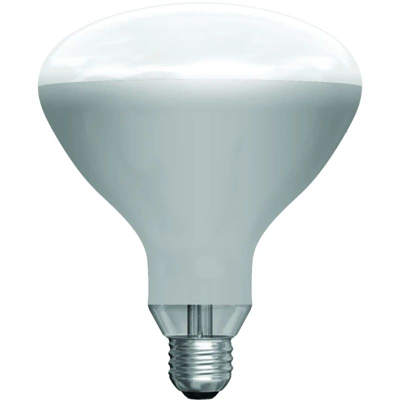 Schiefer E27 Infrarood Lamp | 250W 220V/240V R125