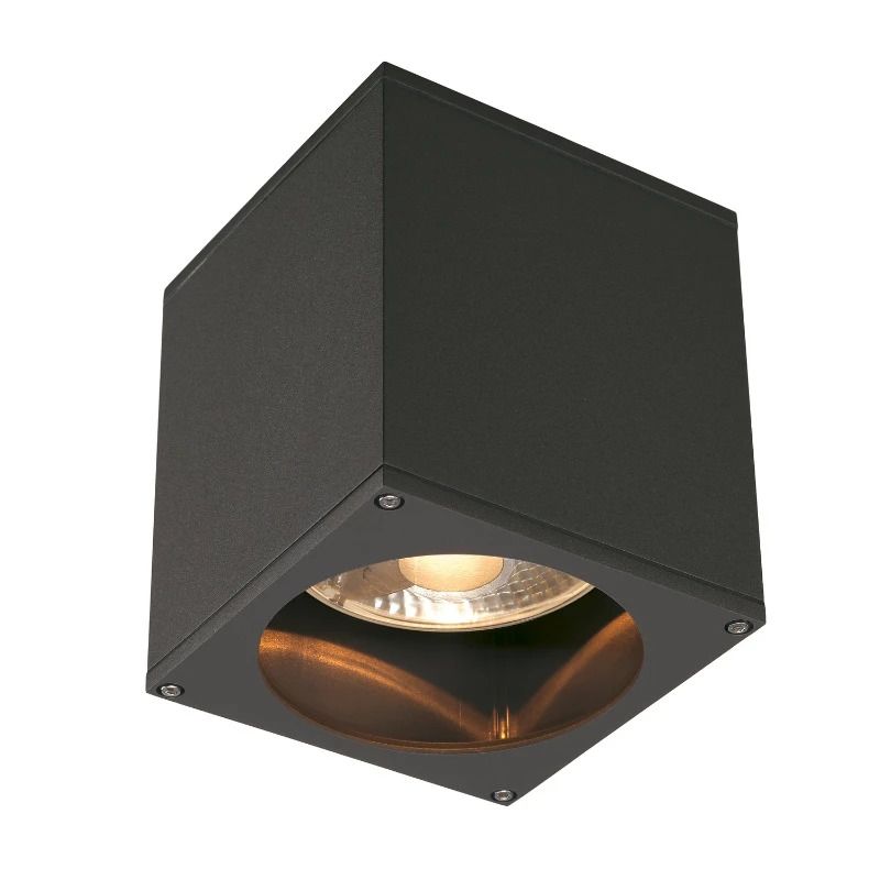 SLV LED Plafondlamp | 1X GU10 Max 75W | IP44 Dimbaar | BIG THEO