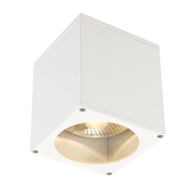 SLV LED Plafondlamp | 1X GU10 Max 75W | IP44 Dimbaar Wit | BIG THEO