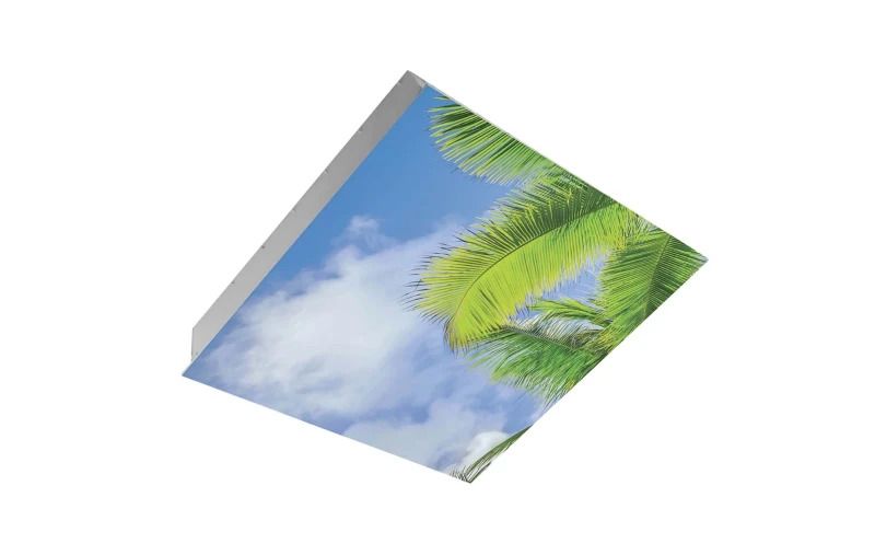 Macbright LED Paneel 60x60cm | 32W 4000K 4100Lm 840 | IP54 | BL-Sky LED