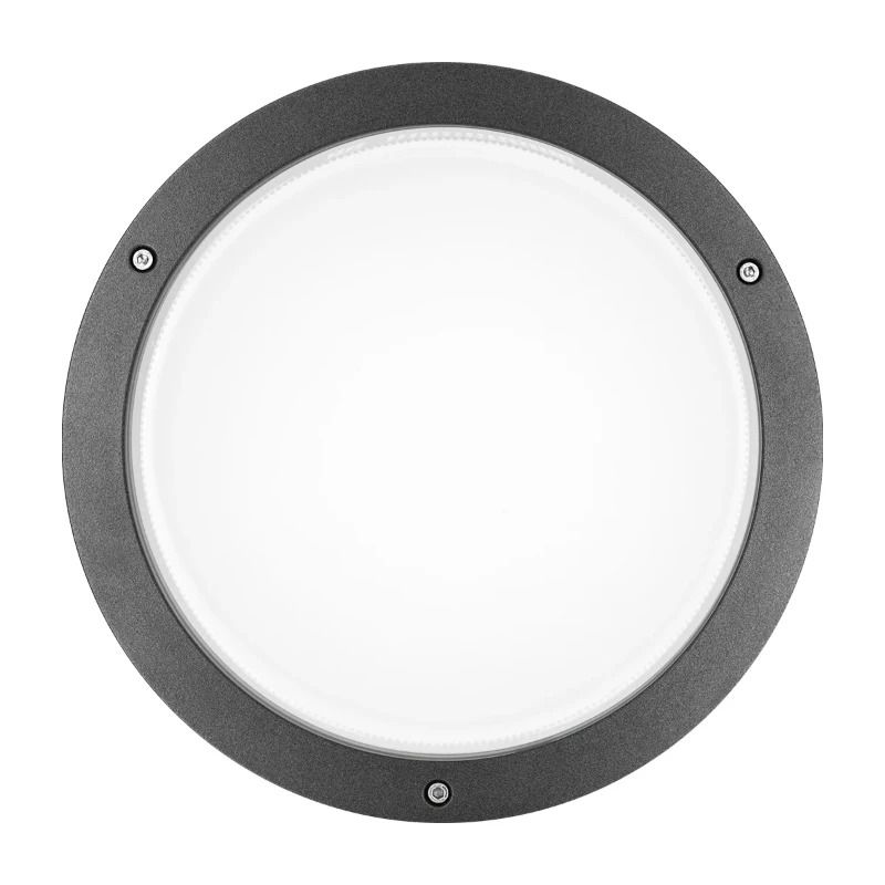 Performance in Lighting LED Opbouwarmatuur Ø302mm | 30W 4000K 2343lm 840 | IP65 DALI Dimbaar