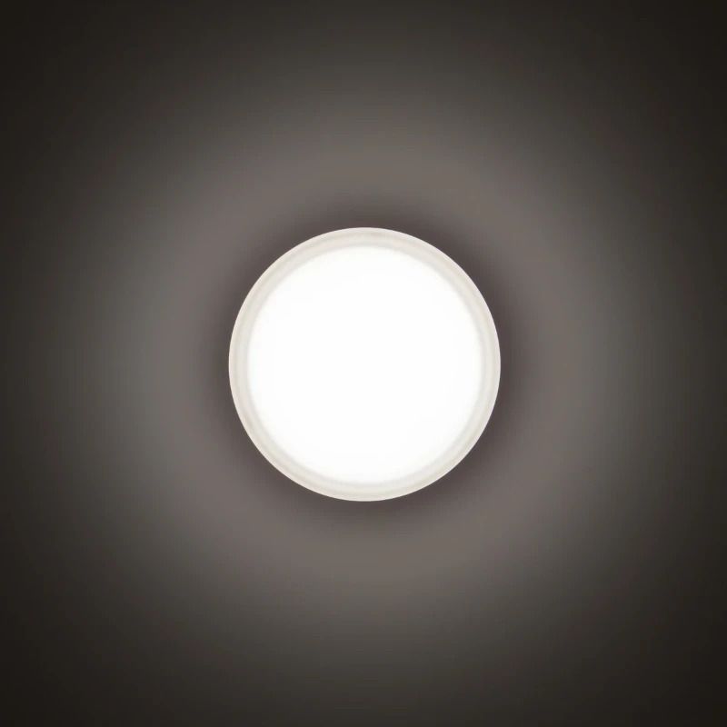 Performance in Lighting LED Opbouwarmatuur Ø276mm | 16W 4000K 1382lm 840 | IP55 Dimbaar Zwart