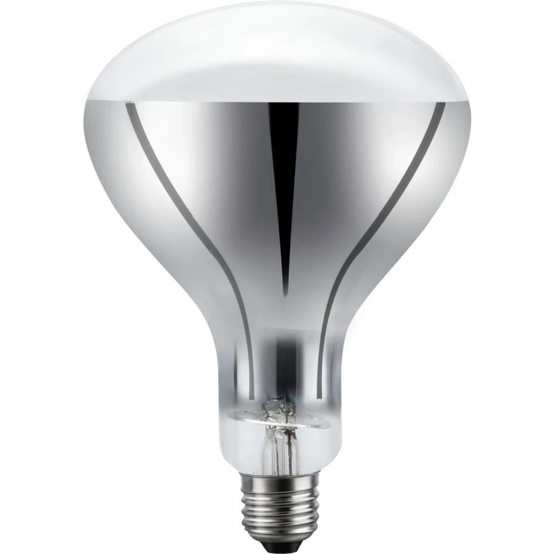 Schiefer E26 R120 Reflector Gloeilamp | 200W 2700K 220V 360° | Dimbaar