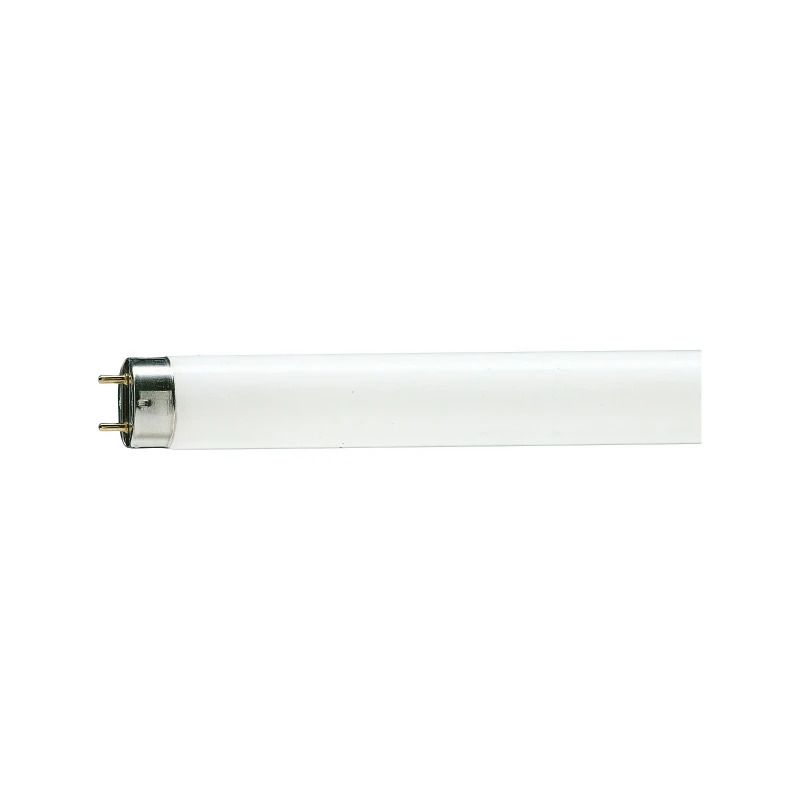 Philips G13 T8 TL-buis | 36W 6500K 2850lm 965 | 1210mm
